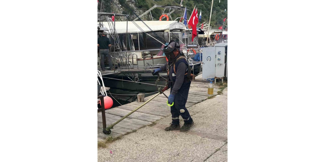 ‘Daha temiz ve yaşanabilir’ Ortaca seferberliği