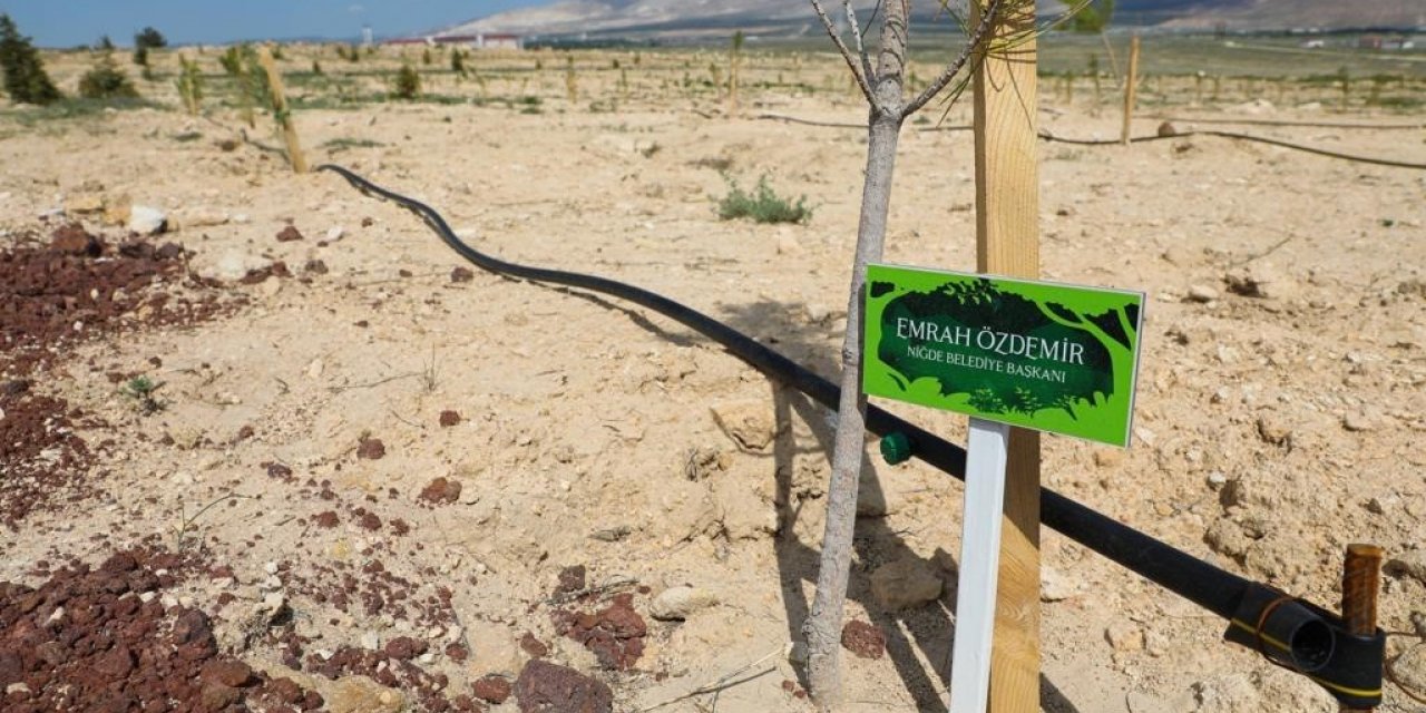 Niğde Belediyesi’nden Elif için hatıra ormanı