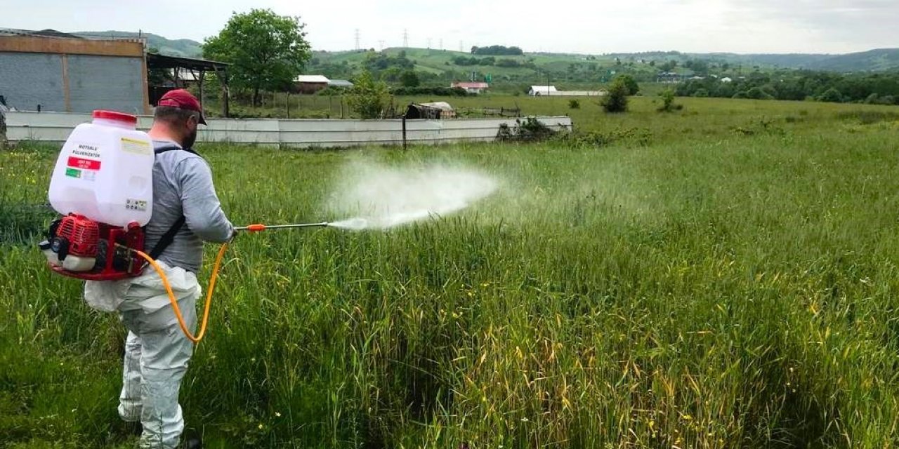 Buğday arazilerine gübreleme desteği