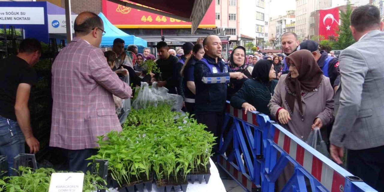 Jeotermal serada atadan kalma tohumlardan yetiştirilen sebze fideleri dağıtıldı