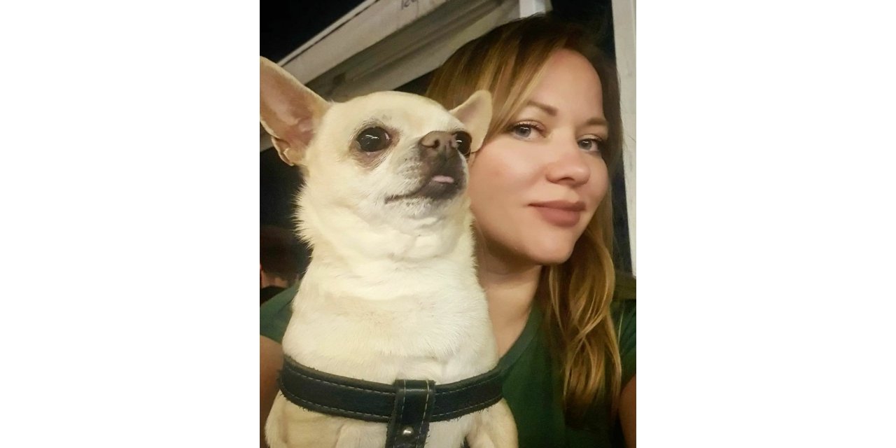 Bodrum Müzayede ’Miki’ için mezat yapacak