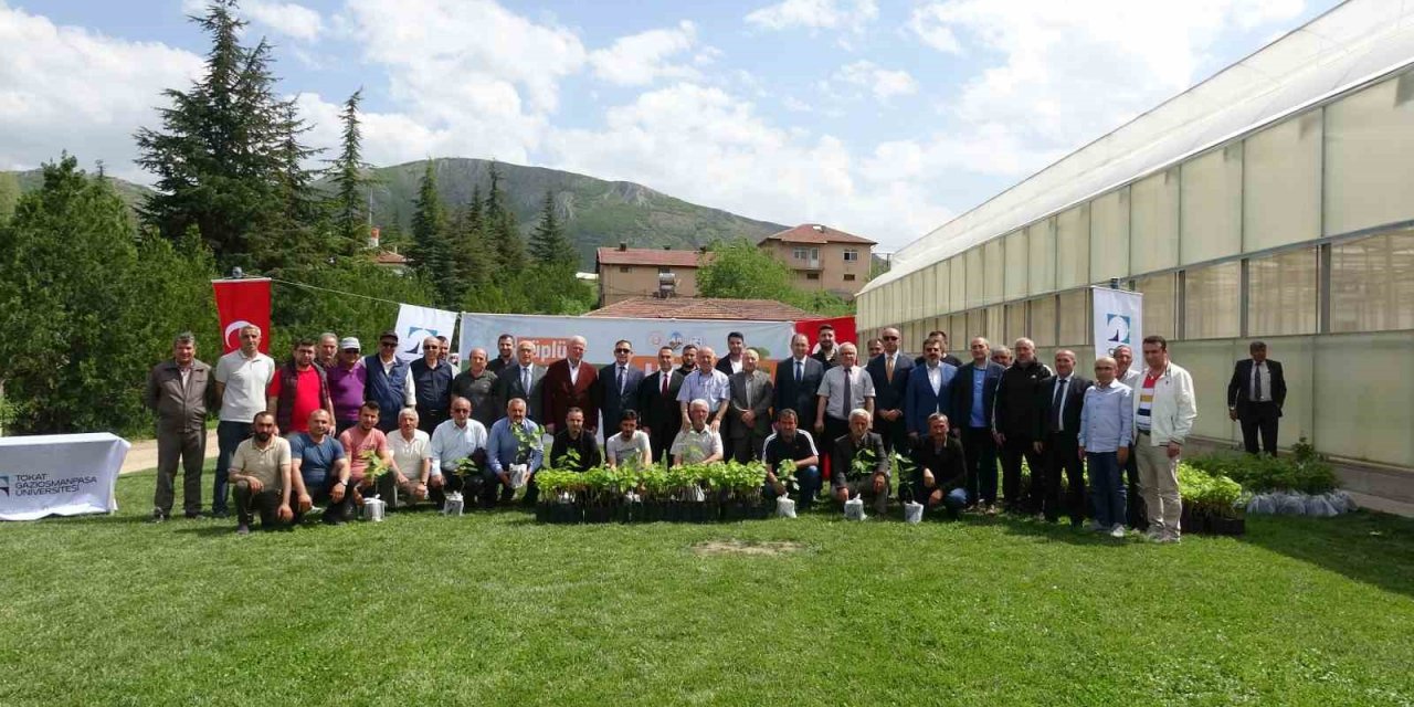 Akademik fidanlar çiftçilere dağıtıldı