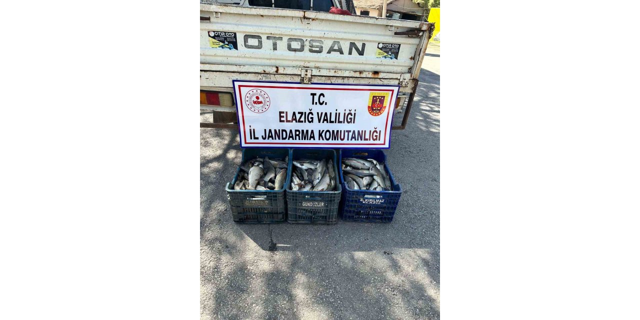 Elazığ’da kaçak balık avı yapan şüpheli yakalandı