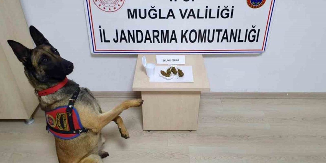 Jandarma 4 günde 147 operasyon yaptı