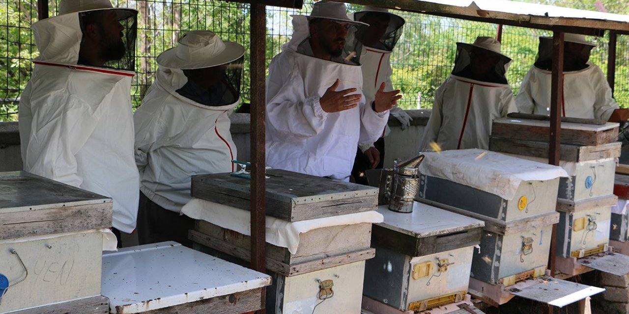 Arıcılığa başlamak için ilk adımlarını attılar