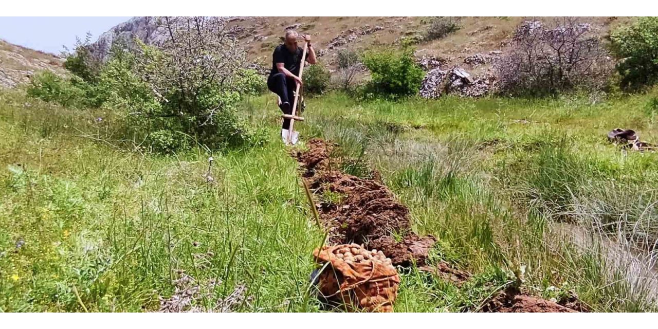 Salep soğanı toplayan 6 kişiye 678 bin lira ceza