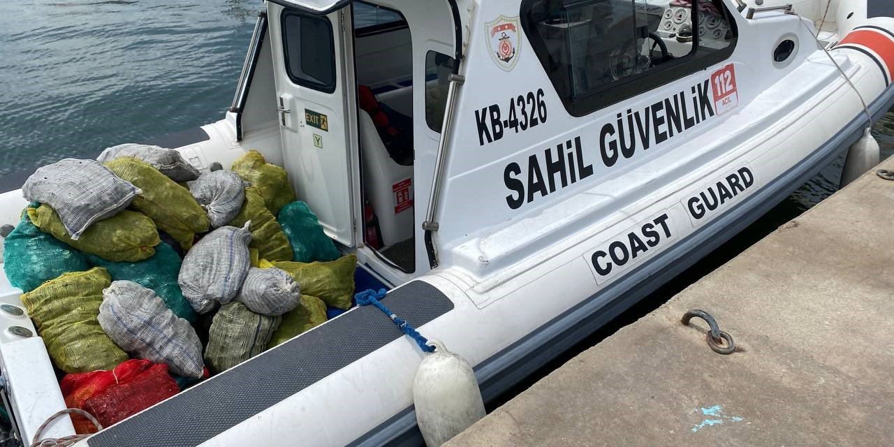 İzmir Körfezi’nde midye operasyonu! 50 çuvalla yakalandılar, cezası ne oldu?