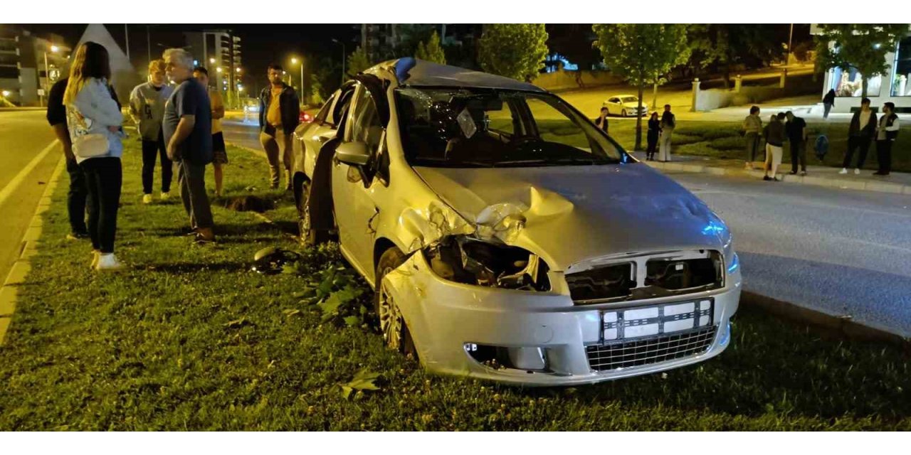 Kontrolden çıkan araç aydınlatma direği ve ağaçları devirdi