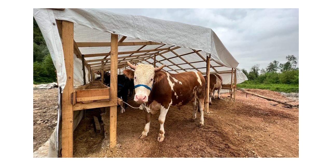 Kurbanlık hayvan satış yeri için hazırlıklar tamam