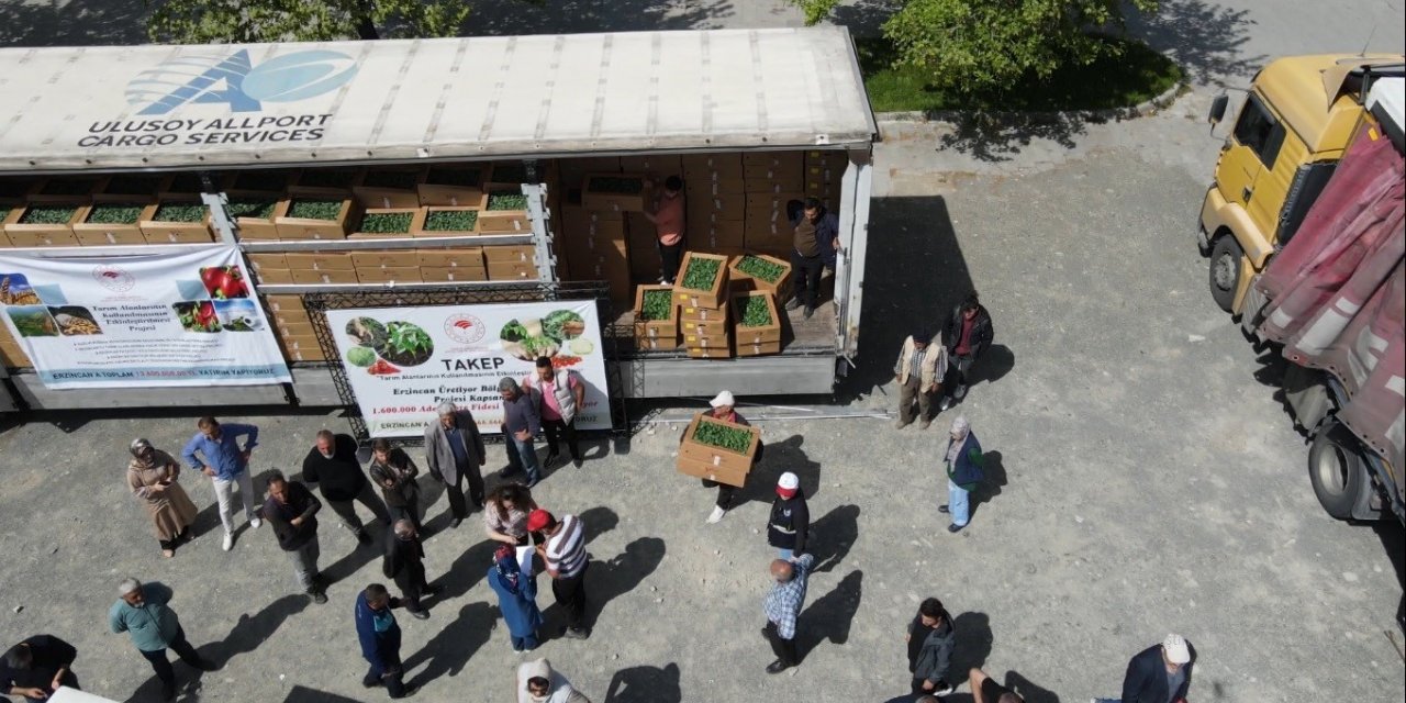 Erzincanlı çiftçilere 1 milyon fide dağıtıldı