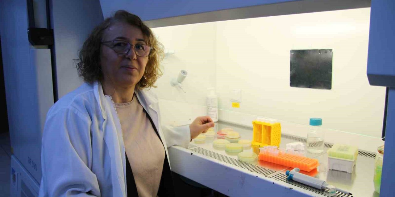 Hastalar antibiyotik kullanılmadan tedavi olabilecek