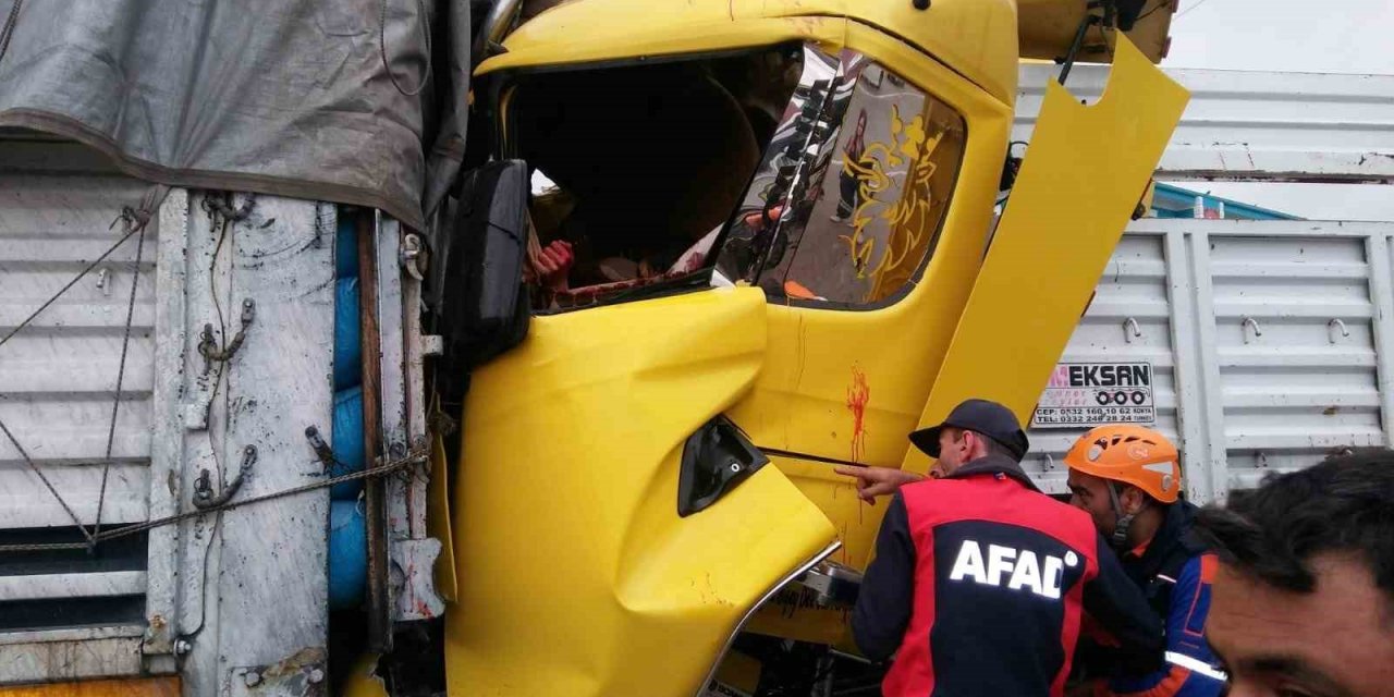 İki tırın çarpıştığı kazada 3 kişi yaralandı, 8 büyükbaş hayvan telef oldu