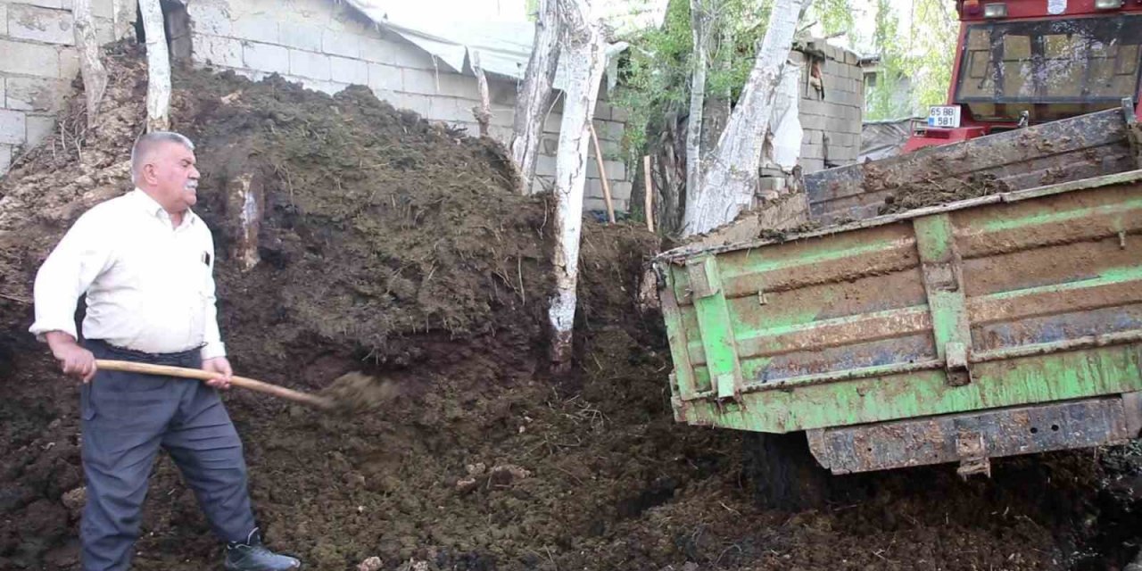 Üreticiler hayvan gübresiyle verimini arttırıyor