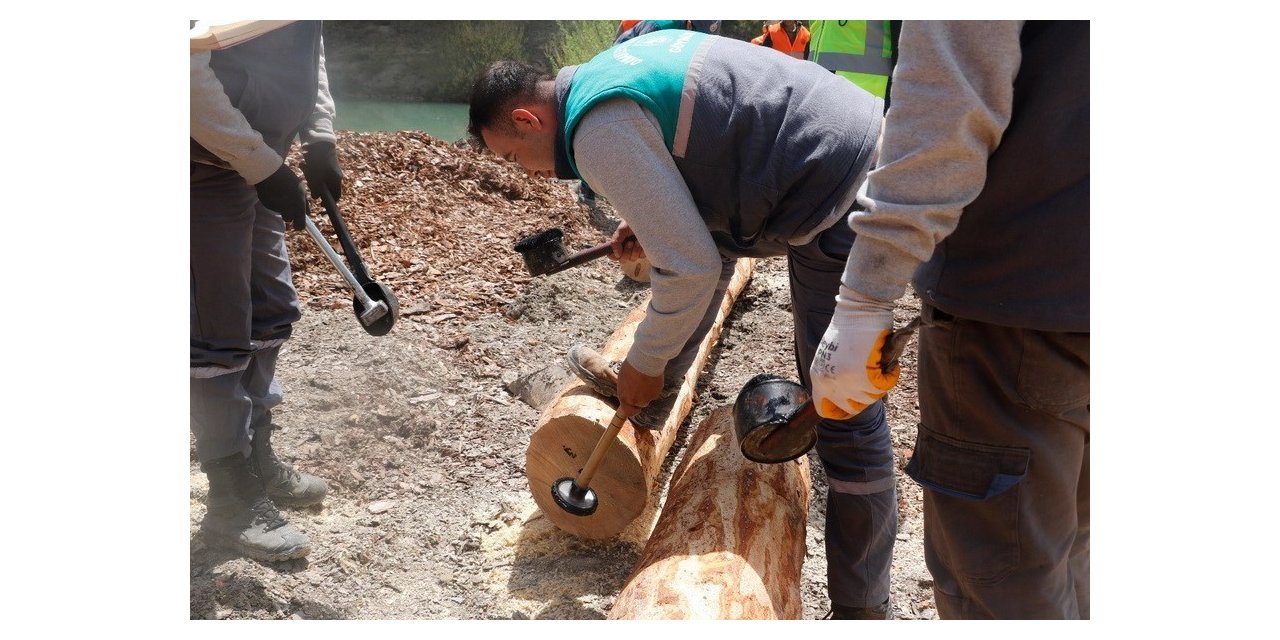 Güvenli ağaç kesimi için eğitim verildi
