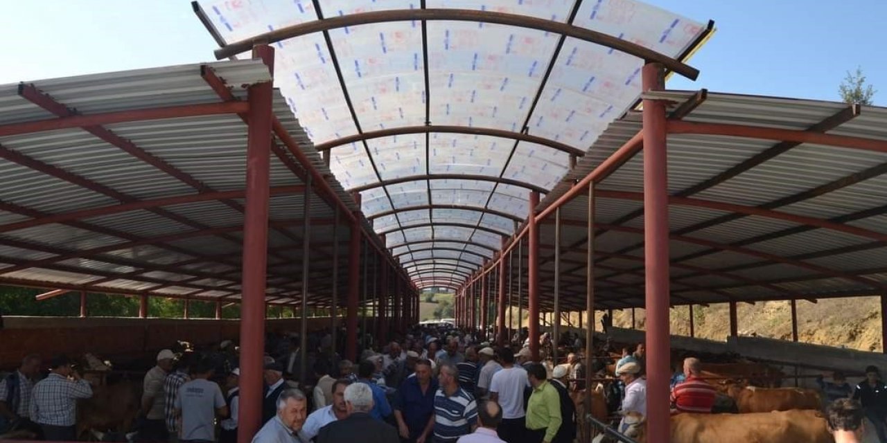 Asarcık Hayvan Pazarı açıldı