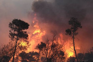 Türkiye İsrail'e 2 uçak yolladı