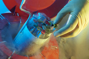 Japonlar yaptı yine yapacağını