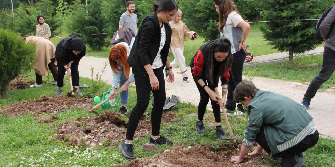 Geleneksel okçuluk turnuvası ve fidan dikme etkinliği yapıldı