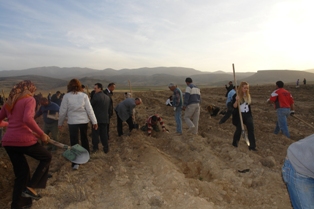 Emirgazi'de kadınlar fidan dikiyor