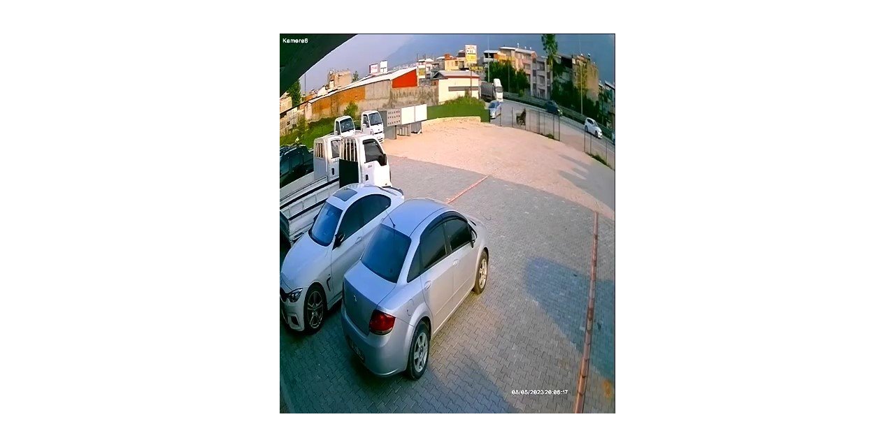 Bursa’da başıboş at böyle kaza yaptı, telef oldu