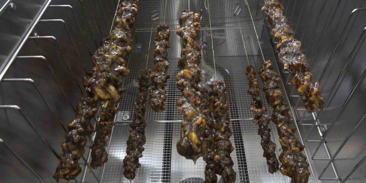 Girişimci kadınlar Türkiye’de ilk kez ürettikleri kivi sucuğunun patentini aldı