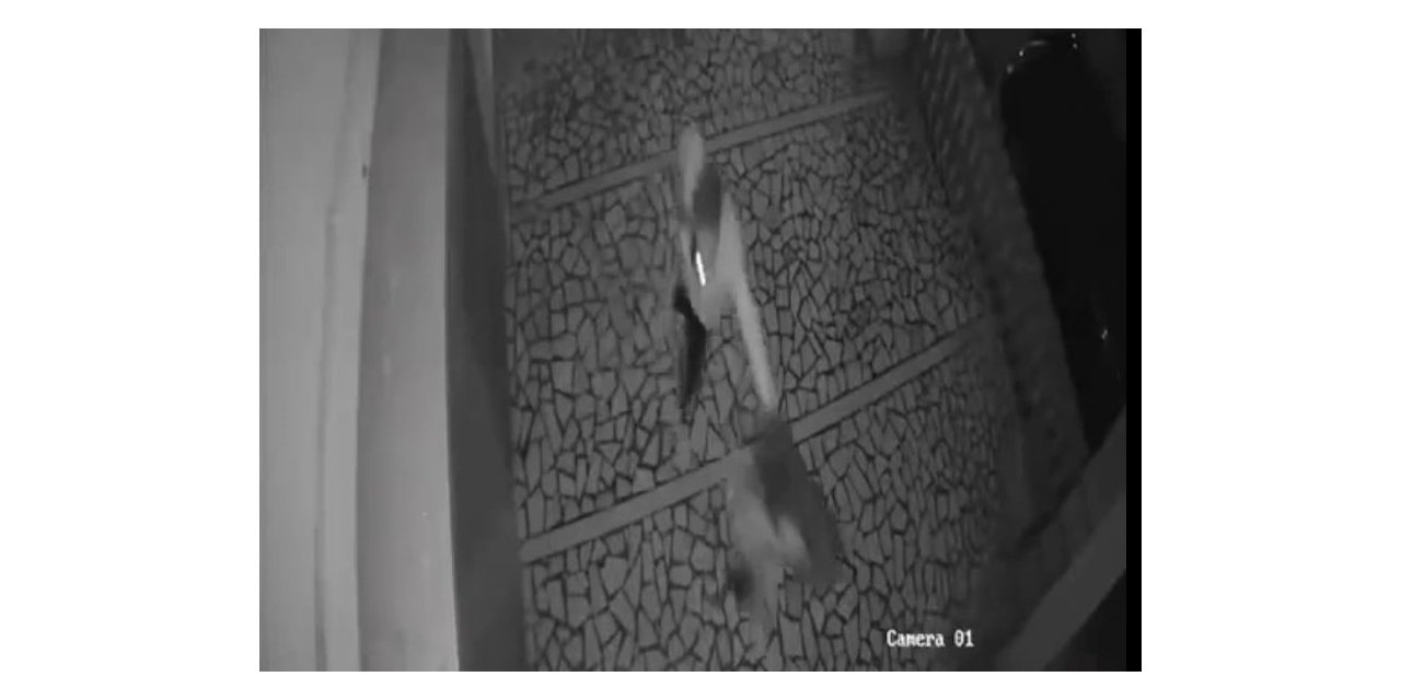 Tartıştığı genç kızı önce tokatladı, sonra saçından tutarak ittirdi