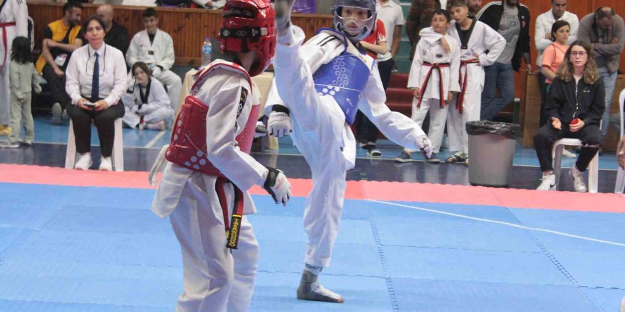 Tekvando Yıldızlar Grup yarışmaları Ordu’da başladı