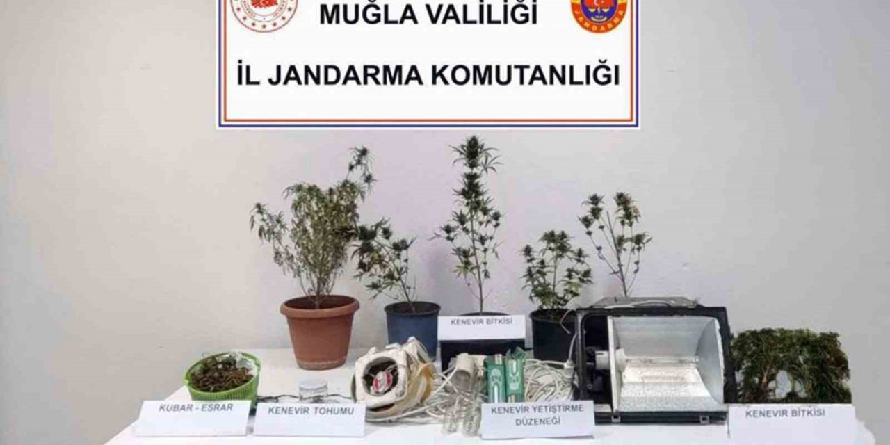 Bodrum, Milas ve Seydikemer’de uyuşturucu operasyonu