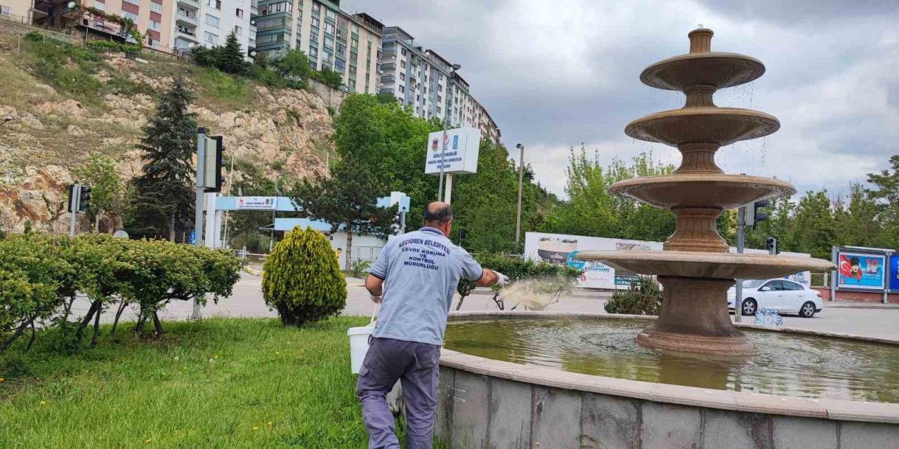 Keçiören’de larvasit uygulaması ve ilaçlama çalışması devam ediyor