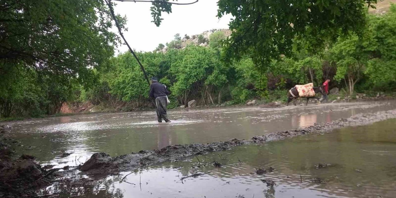 Siirt’te köylüler yıllardır hayvan gücüyle tohumları toprakla buluşturdu