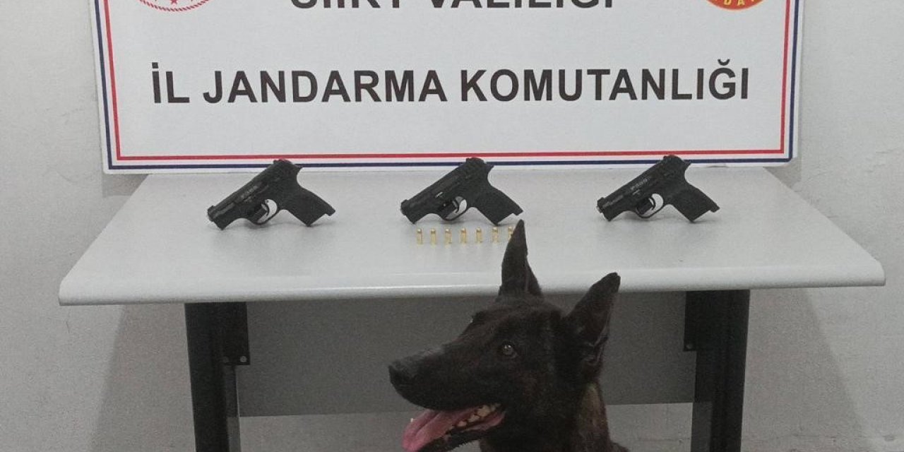 Siirt’te silah ve mühimmat kaçakçılığı yapan şahıs yakalandı