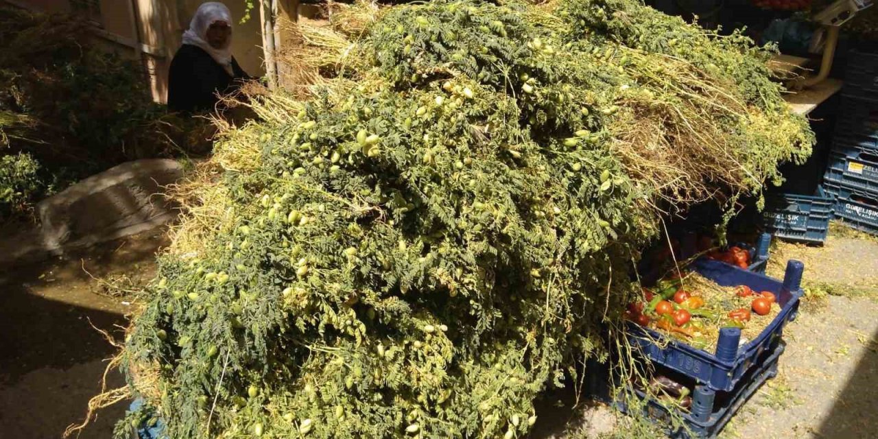 Yeşil nohut tezgahlarda yerini aldı