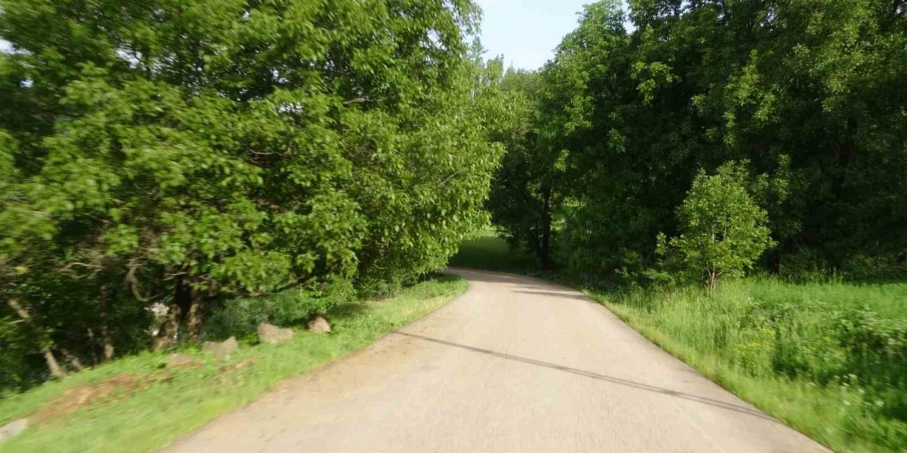 Şemdinli’de Karadeniz’i aratmayan görüntüler