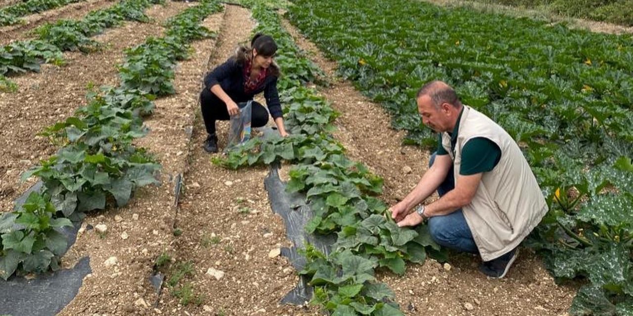 Türkiye Pestisit Kullanımında Avrupa'nın Altında!