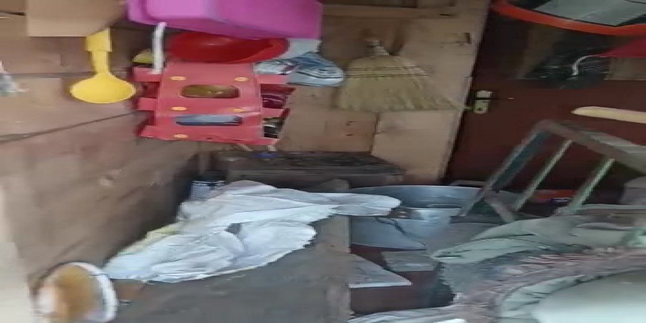 Ayılar yayla evlerini talan etti, vatandaş eve "Selamünaleyküm" diyerek girdi