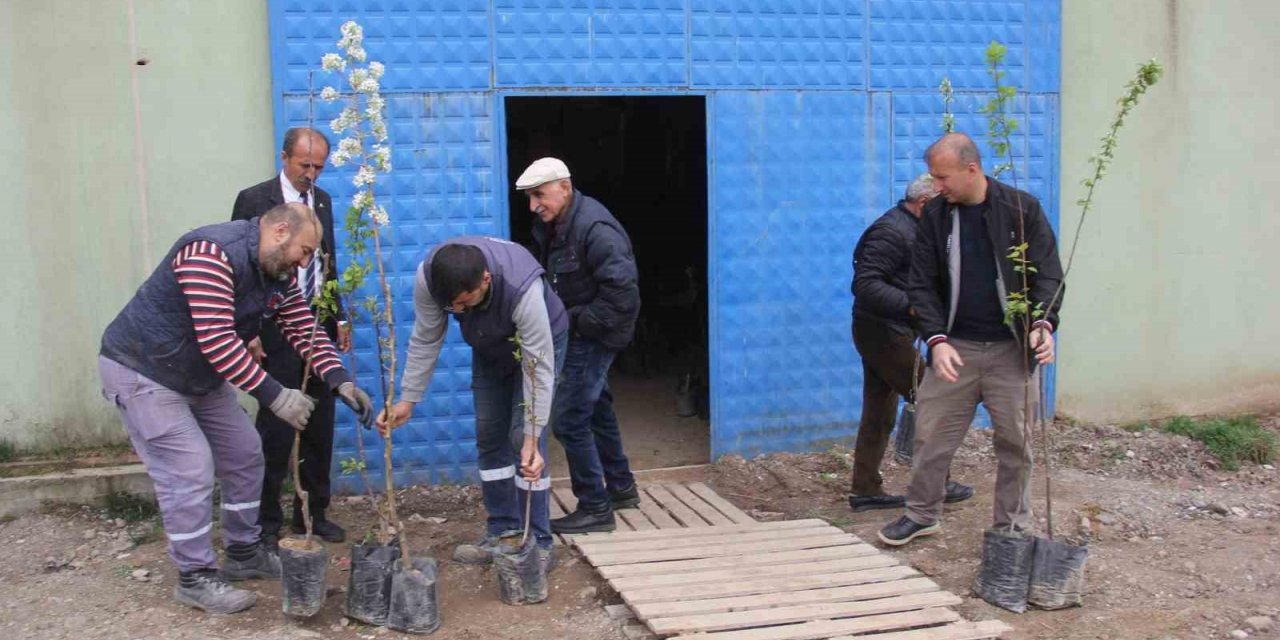 Traktör kazasında ölen babası için ilginç bir hayır yaptı