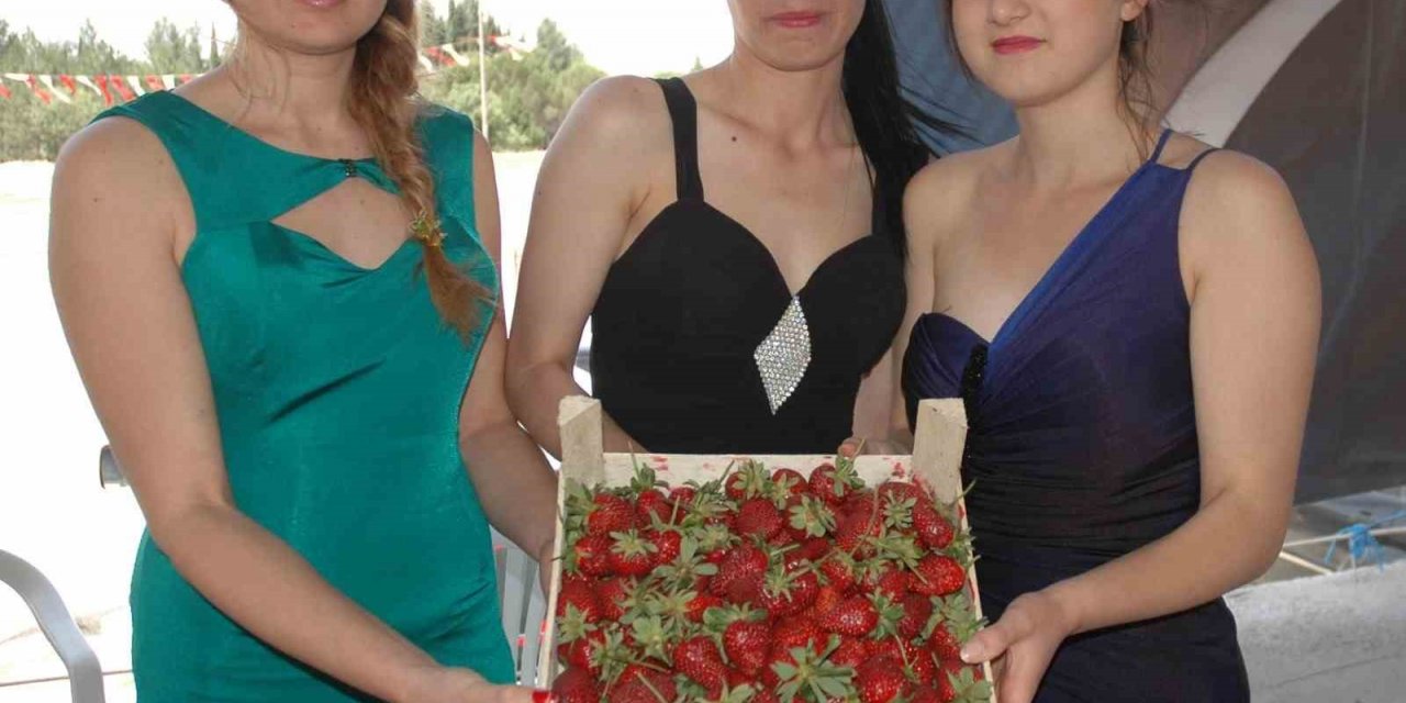 Sivaslı’da 35. Çilek ve Kültür Festivali için geri sayım başladı