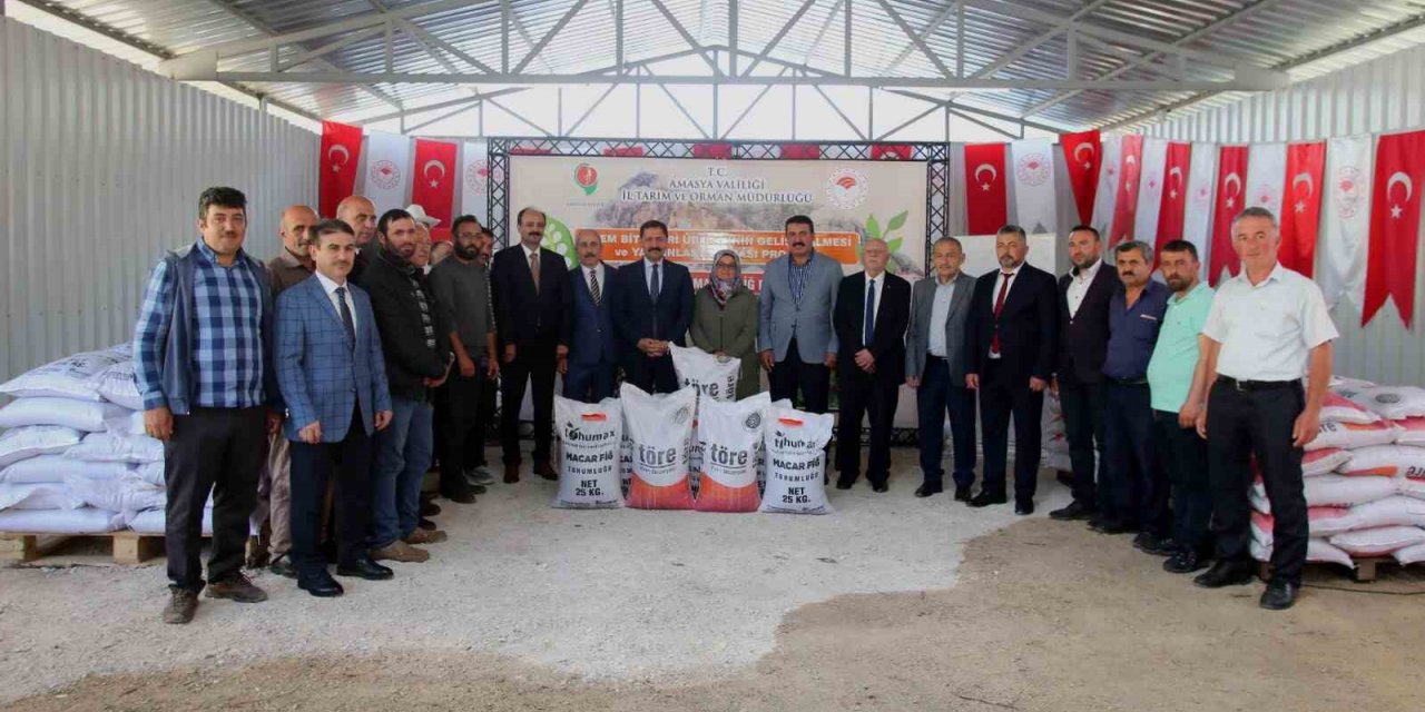 Amasya’da çiftçilere yem bitkisi tohumu dağıtıldı