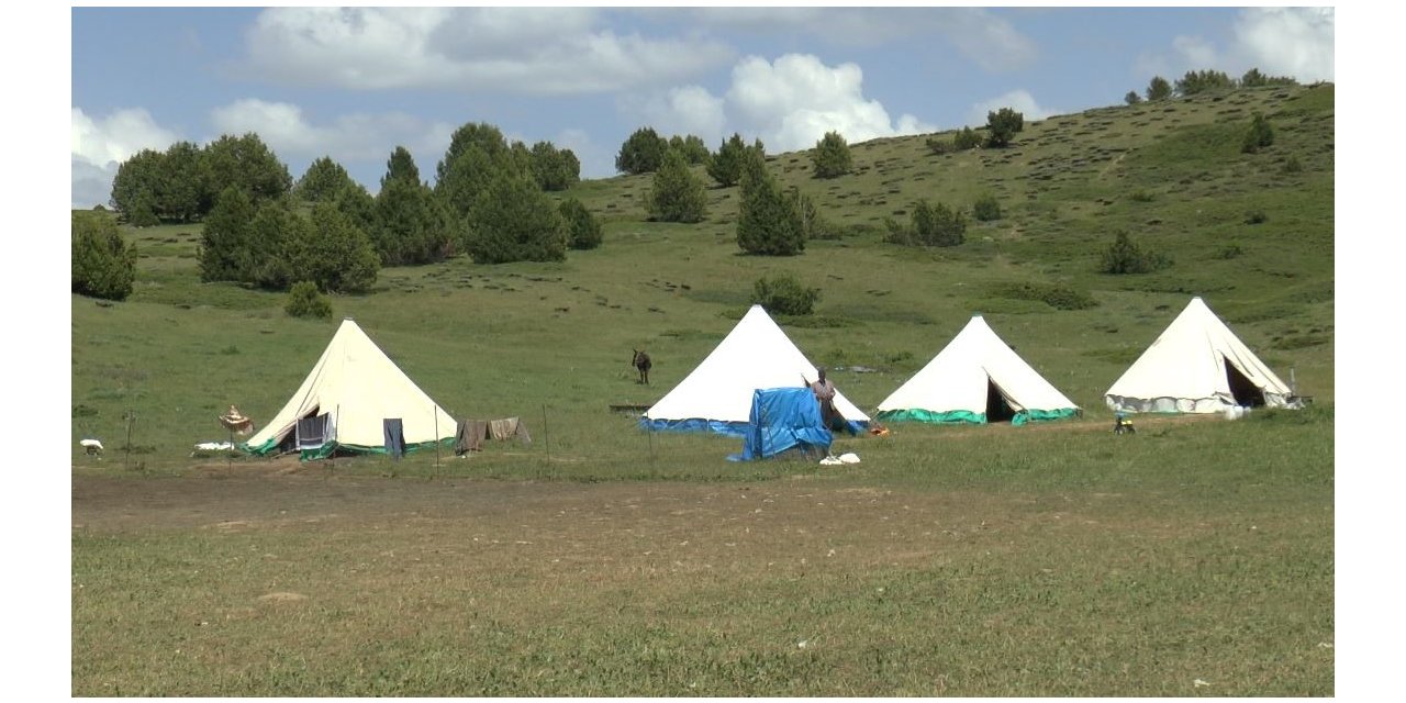 Tunceli Valiliği’nden sürü sahipleri ve arıcılara duyuru