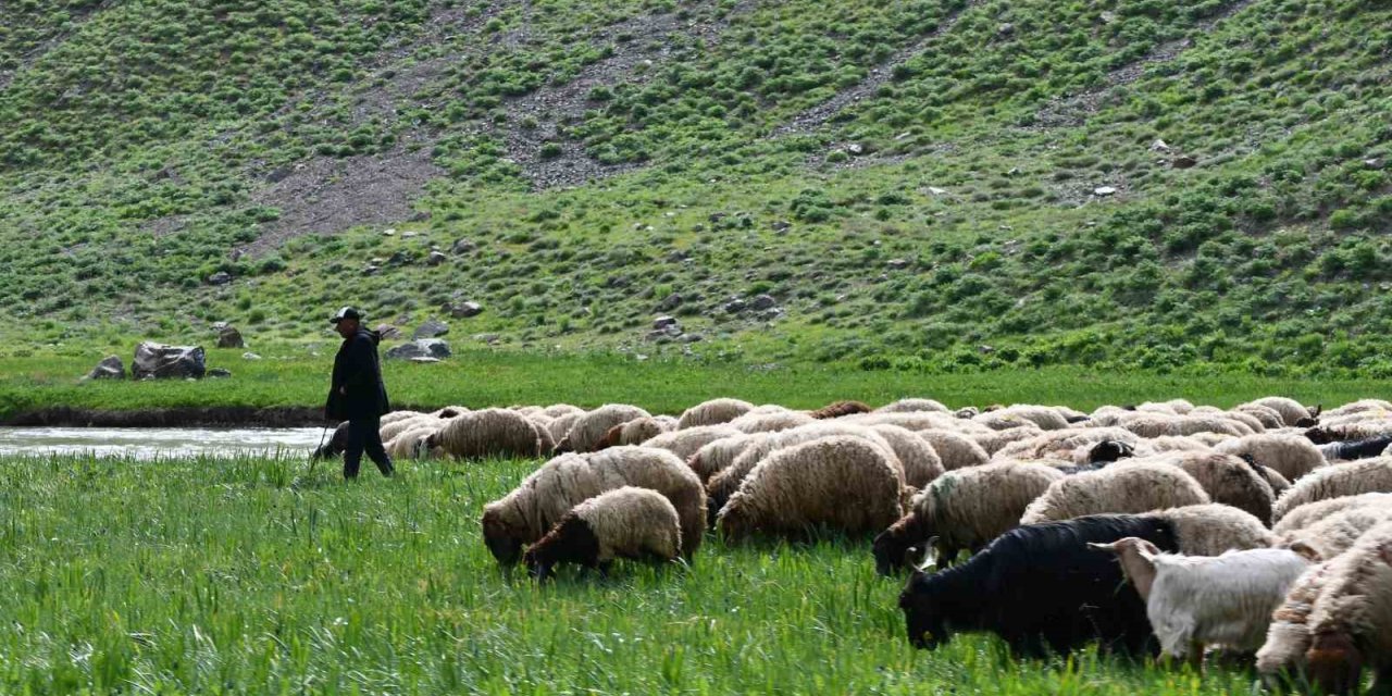 Şırnak yaylalarında kartpostallık fotoğraflar