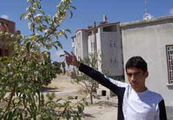 Çiçek açan elma ağacı şaşırttı