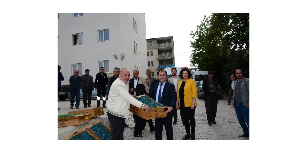 Hakkari’de çiftçilere karpuz ve domates fidesi dağıtıldı