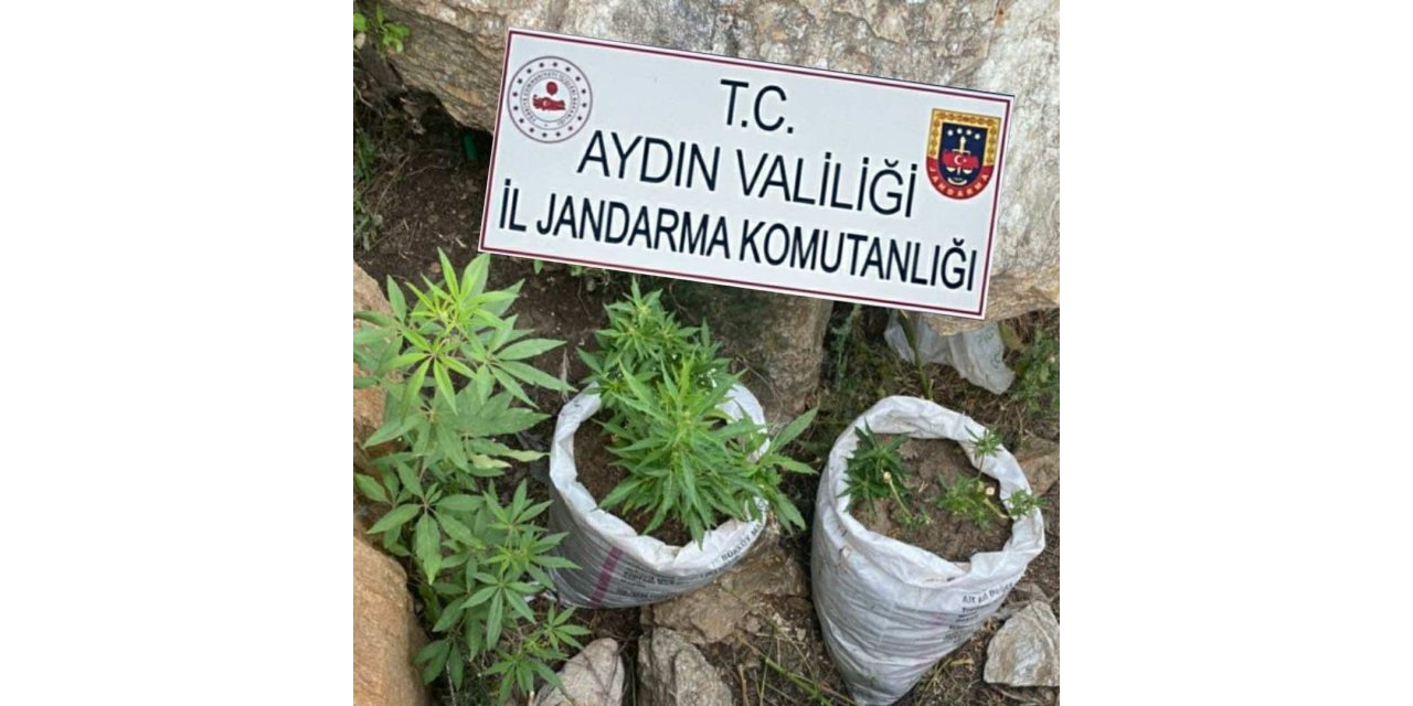 Jandarmadan uyuşturucu baskını: 4 gözaltı