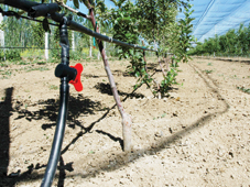 Halkapınar'da damla sulama anlatıldı