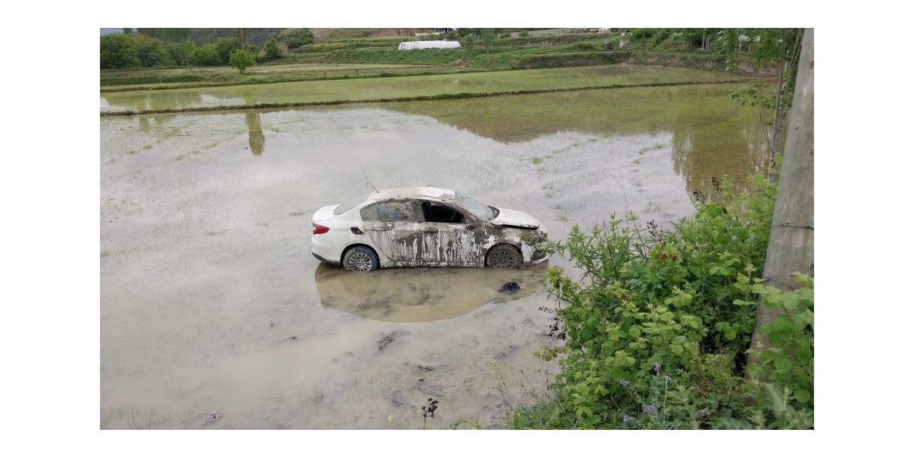 Sinop’ta otomobil çeltik tarlasına uçtu: 1 yaralı