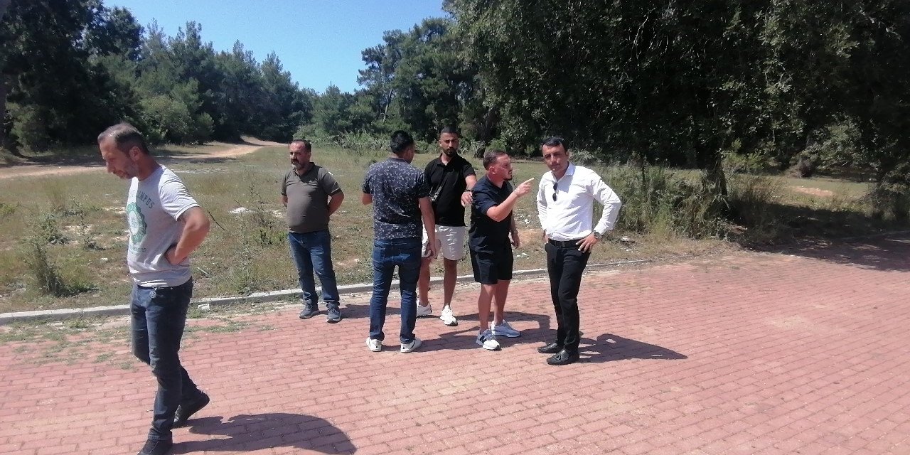 Palmiyeye çarpan Alman sürücünün yalanını güvenlik kameraları ortaya çıkardı