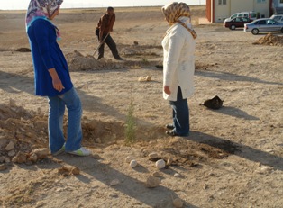 Mahkumlar fidan dikerek cezalarını çekiyor