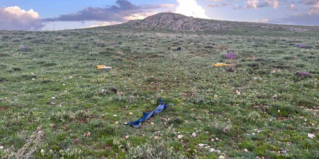 Hayvanlar yalnız dönünce, çoban arazide ölü bulundu