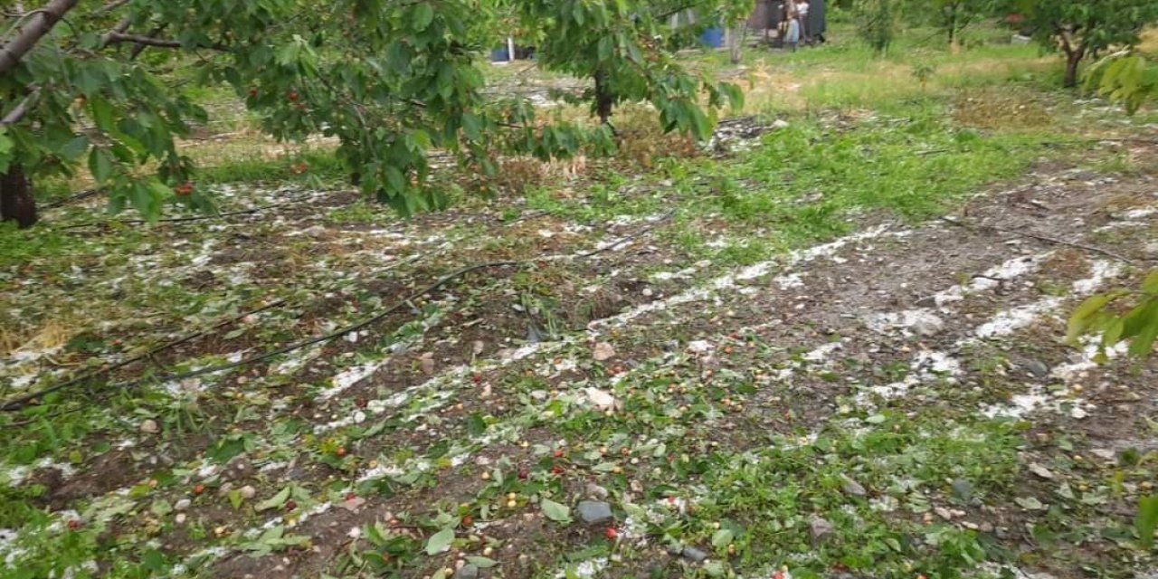 Dolu kiraz ve kayısı bahçelerini vurdu