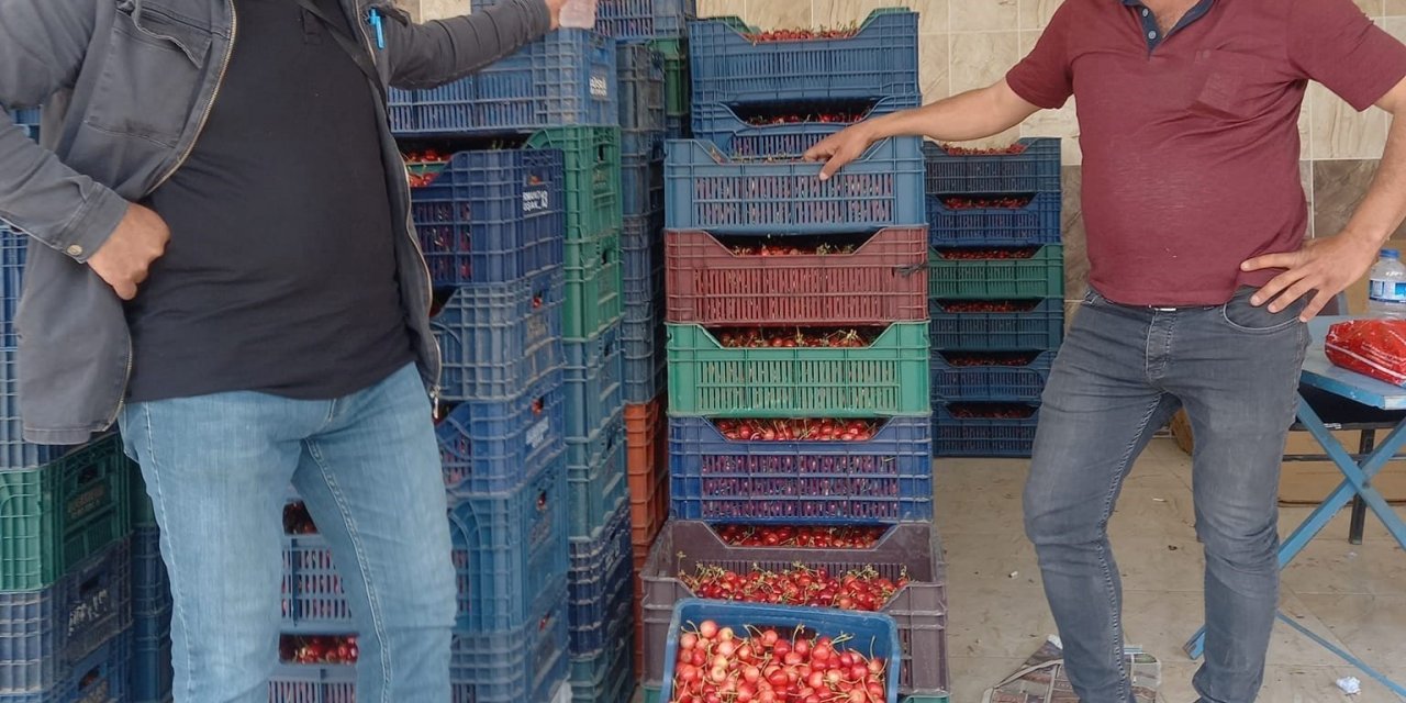 Selendi’de sezonun ilk kiraz pazarı kuruldu